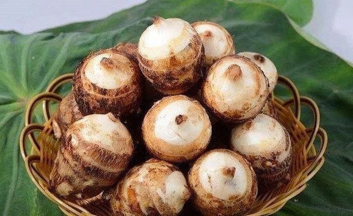 Khoai sọ 2