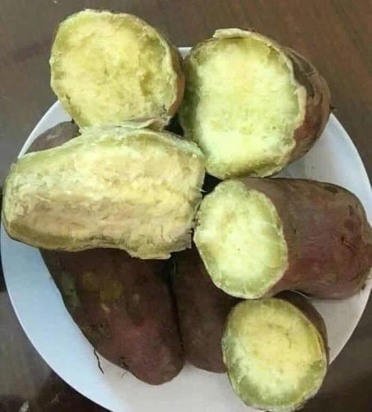 Khoai bở đõ Bắc Giang