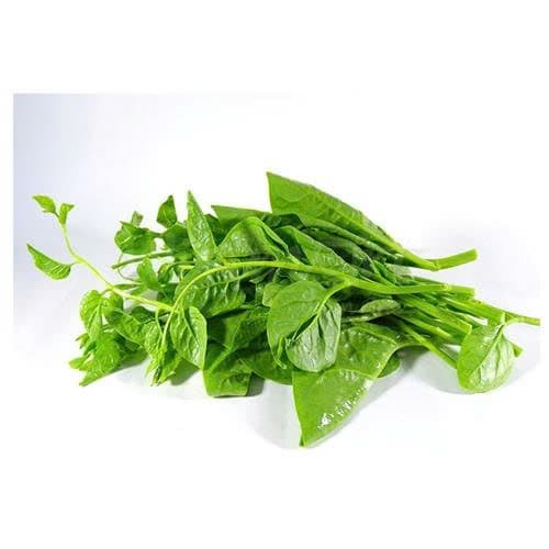 Mồng tơi (mớ)