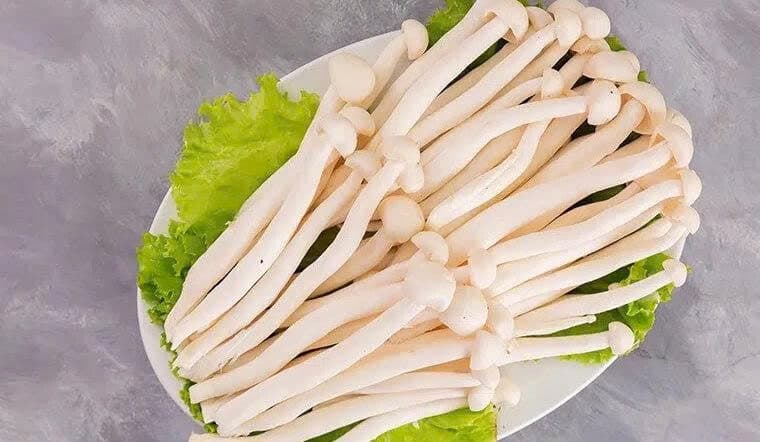 Nấm hải sản