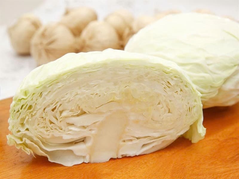Bắp cải trắng 2