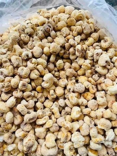 Bỏng ngô Gừng