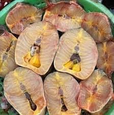 Cá Tầm cắt khúc