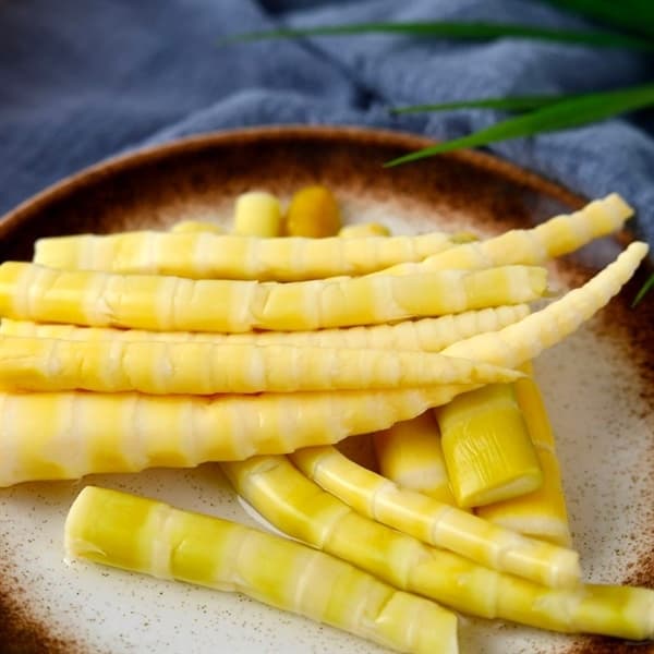 Măng trúc