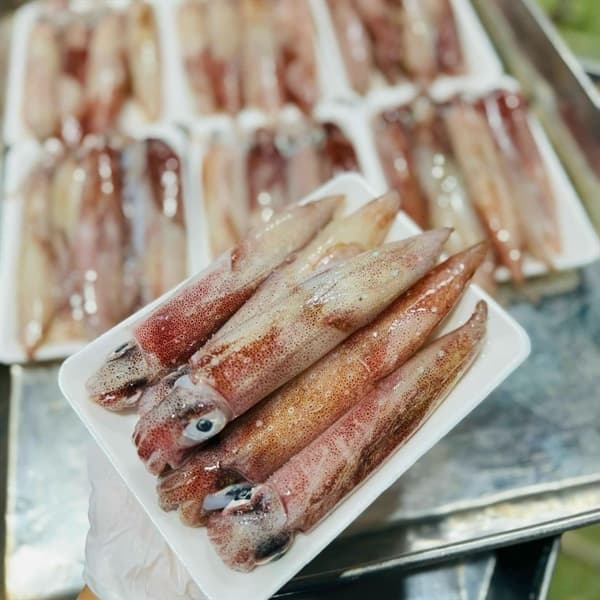 Mực trứng nháy Của Lò