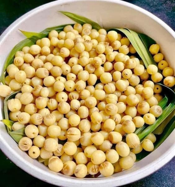 Sen Hội An 500g