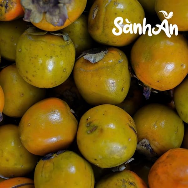 Hồng ngâm 4
