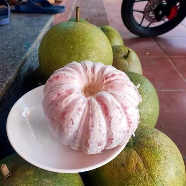 Bưởi da xanh Tuyên Quang