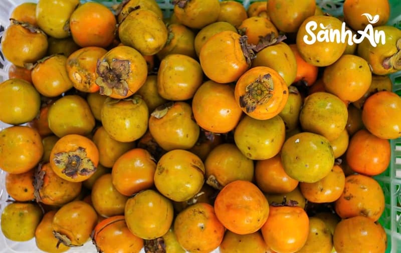 Hồng ngâm 2