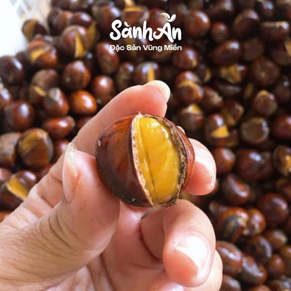 Hạt dẻ Sapa nướng 1KG 4