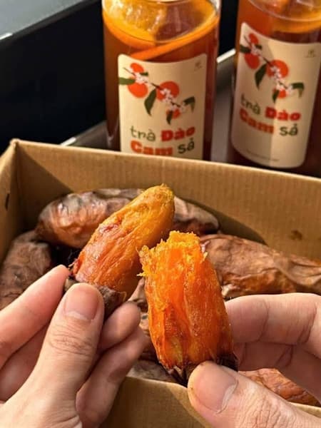 Khoai nướng mini LHY 2