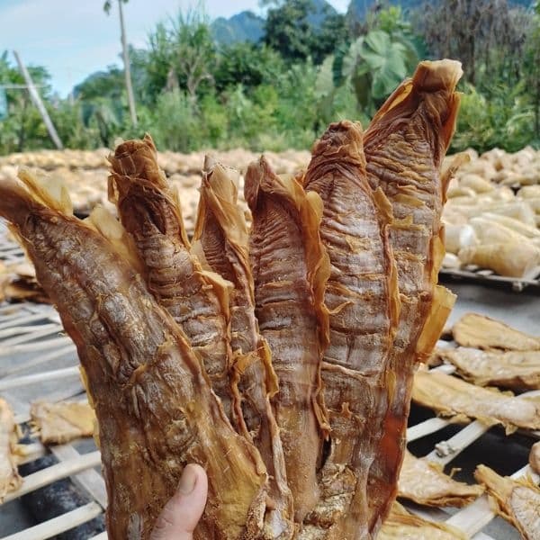 Măng nứa khô Điện Biên 500g