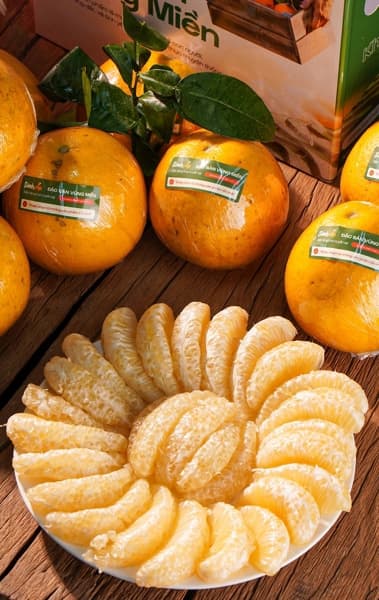 Bưởi Diễn 4
