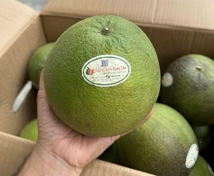 Bưởi da xanh Tam Tân