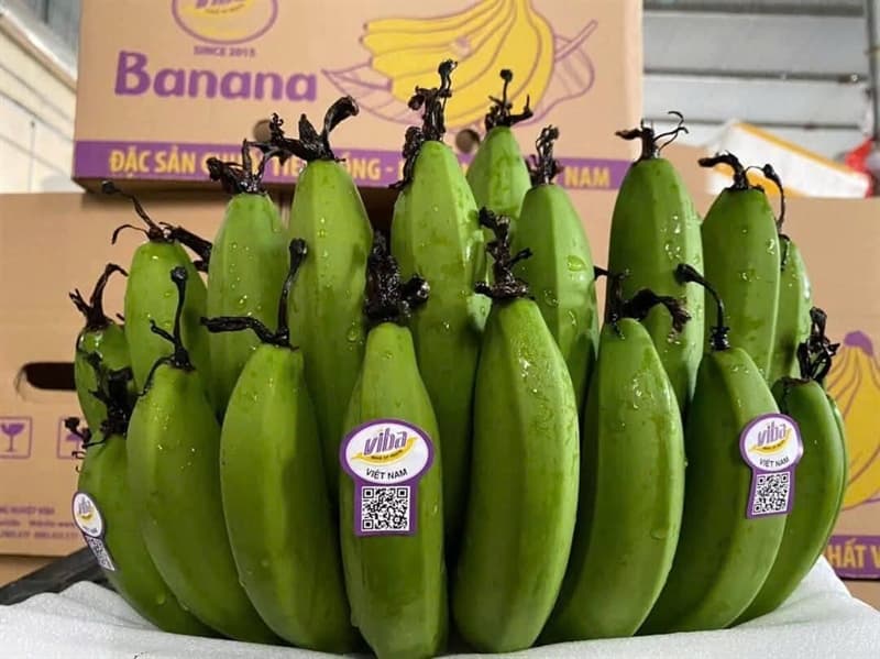 Chuối dâng huong VIBA ( nải có quả lẻ thu thêm 50k) 3