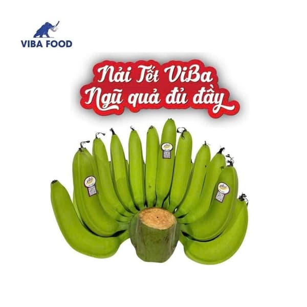 Chuối dâng huong VIBA ( nải có quả lẻ thu thêm 50k)