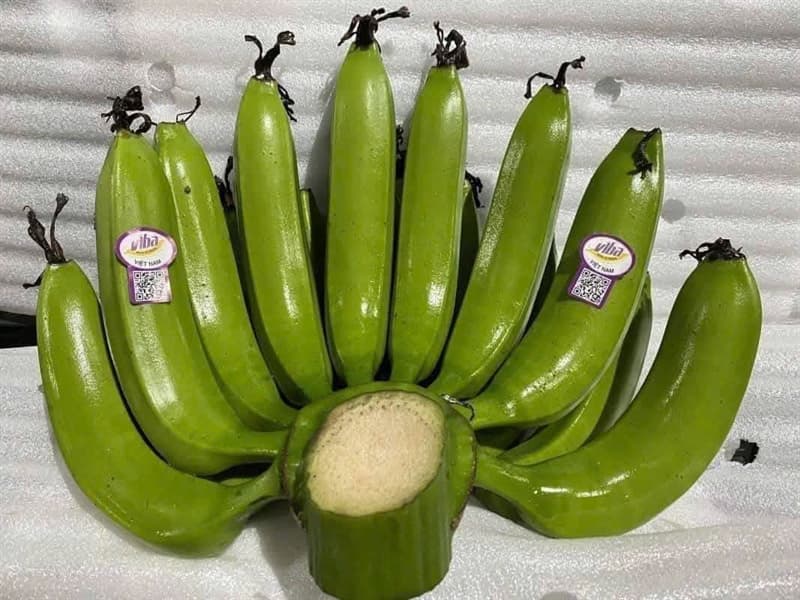 Chuối dâng huong VIBA ( nải có quả lẻ thu thêm 50k) 2