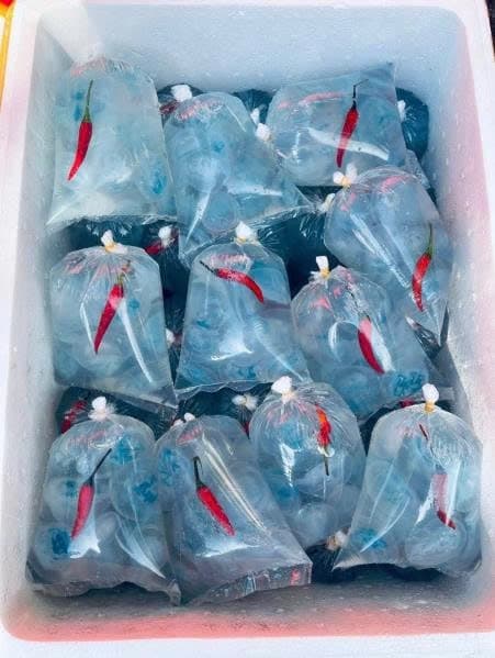 Nuốc chân Huế 3