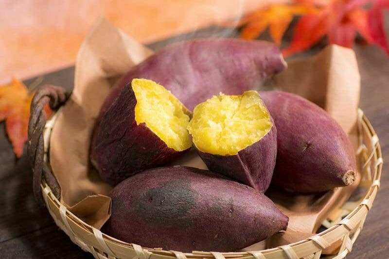 Khoai lang Nhật 3