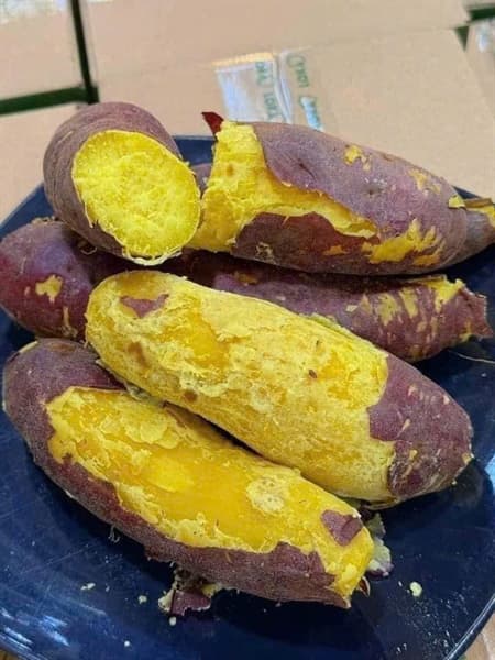 Khoai lang Nhật 4