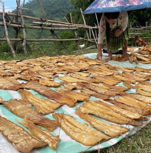 Măng mầm Sơn La 3