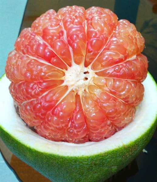 Bưởi hồng da xanh Vĩnh Long 5