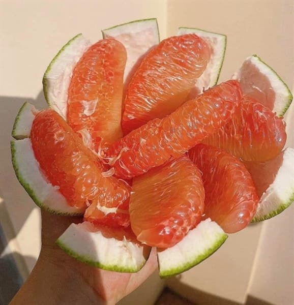 Bưởi hồng da xanh Vĩnh Long