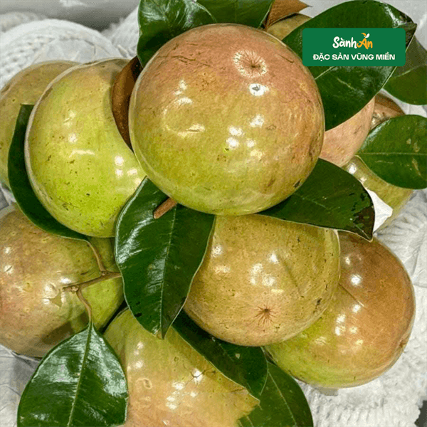 Vú sữa bơ Tiền Giang 2
