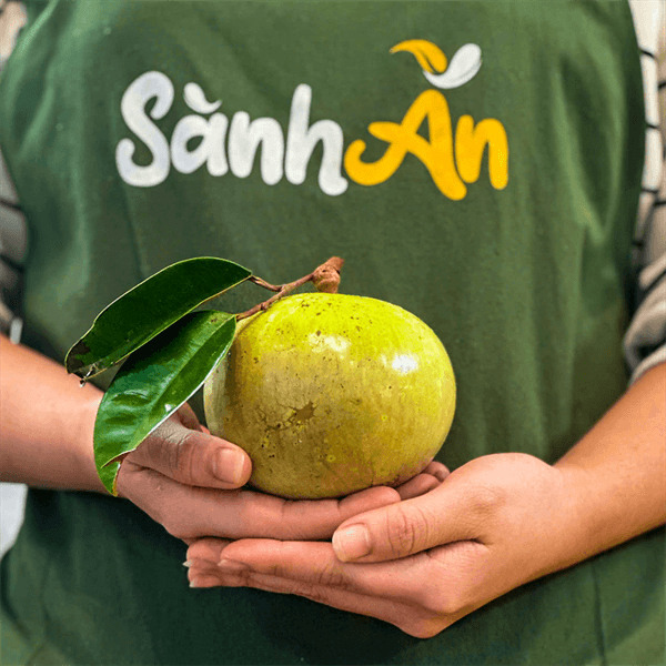 Vú sữa bơ Tiền Giang 3