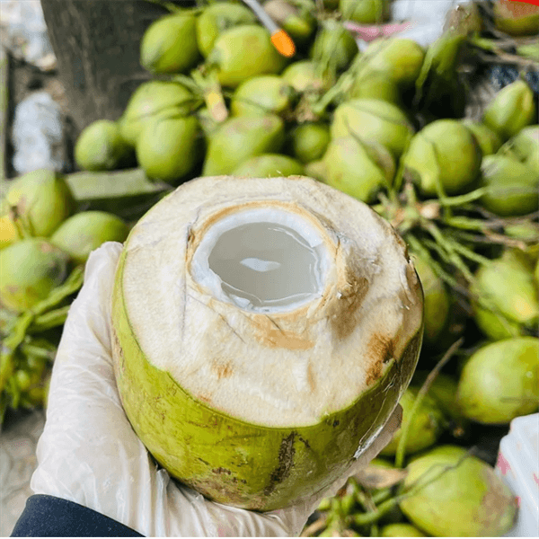 Dừa Xiêm Quả