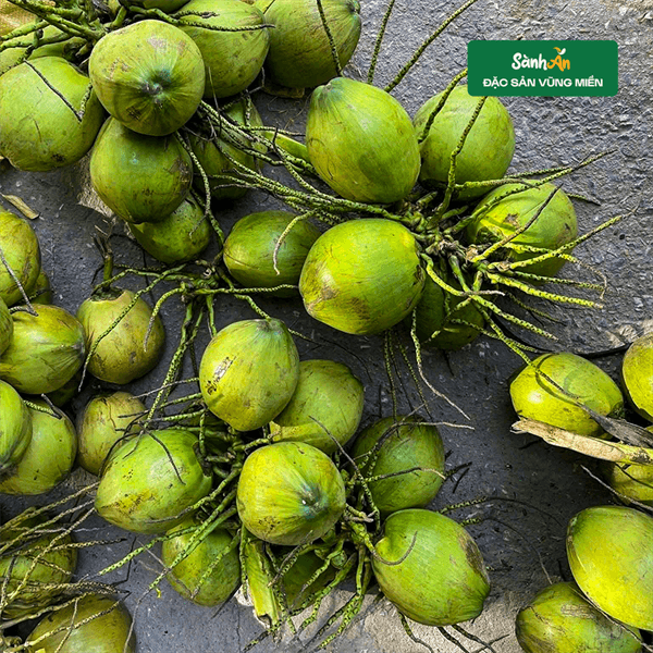 Dừa Xiêm Quả 3