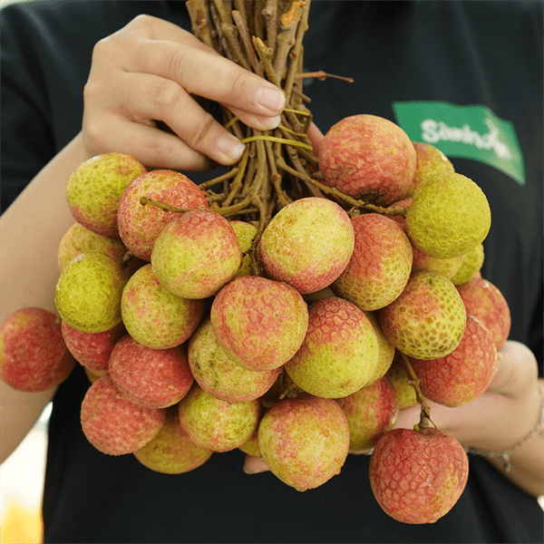 Vải Trứng trắng Hưng Yên 4