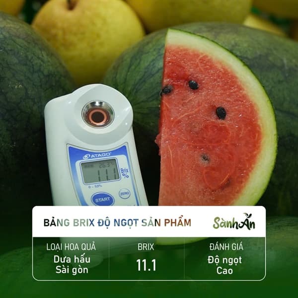 Dưa hấu Sài Gòn 4