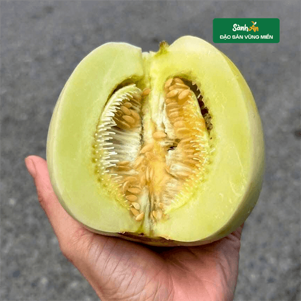 Dưa lê Nghệ An 3