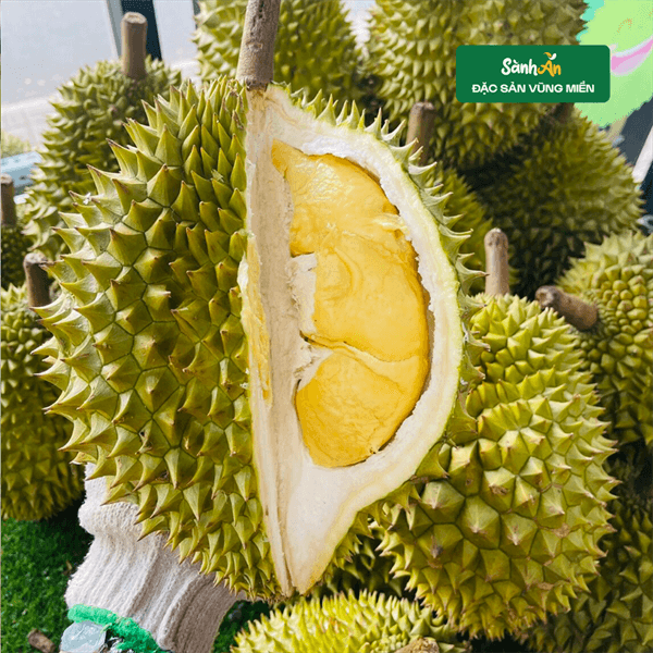 Sầu riêng RI6 loại 2