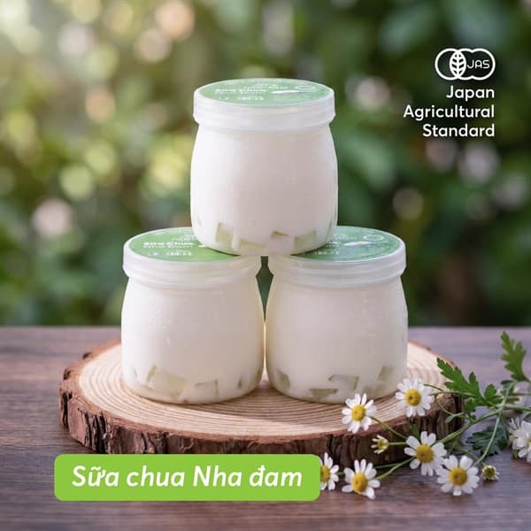 Sữa chua nha đam organic Mục đồng 3