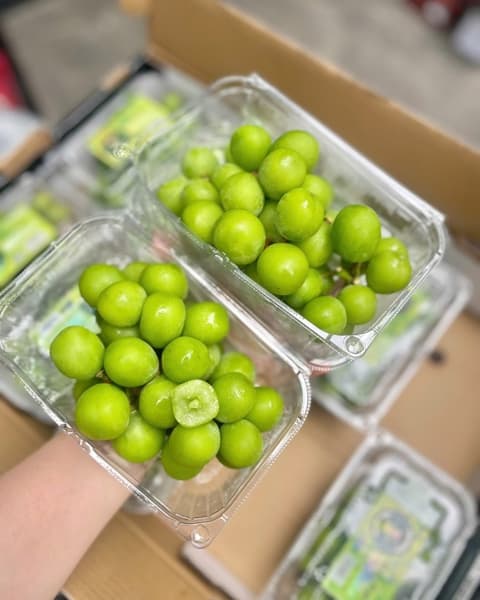 Nho Sữa Uno 3