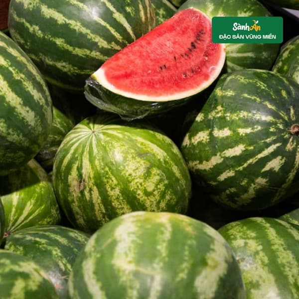 Dưa hấu bãi bồi sông Lam 2