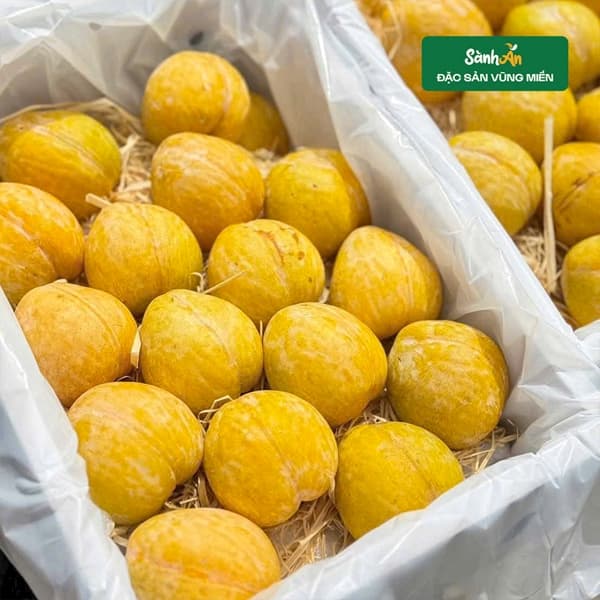 Mận cau