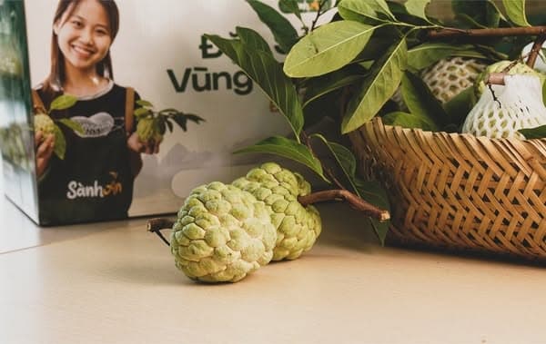 Na Chi Lăng Lạng Sơn (size 5-6-7) 3