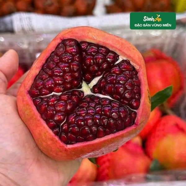 Lựu Huyết Rồng 2