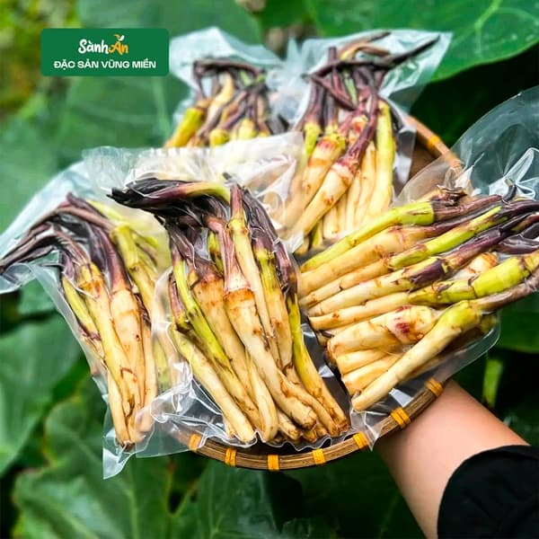 Ngó khoai Tủa Chùa Điện Biên