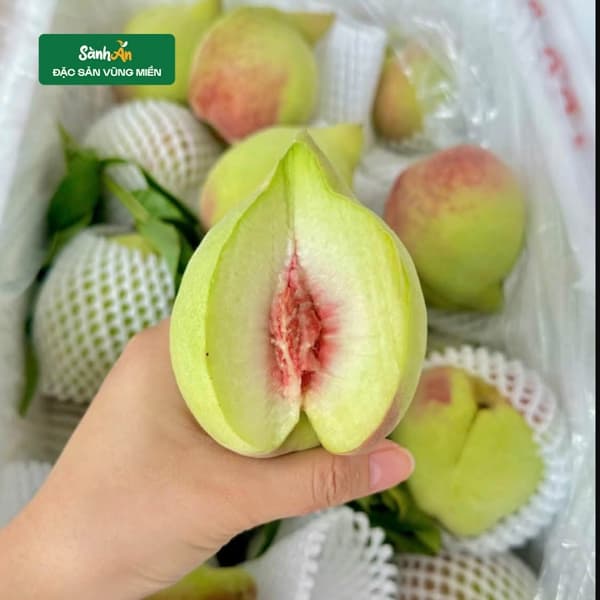 Đào mỏ quạ Vip 3