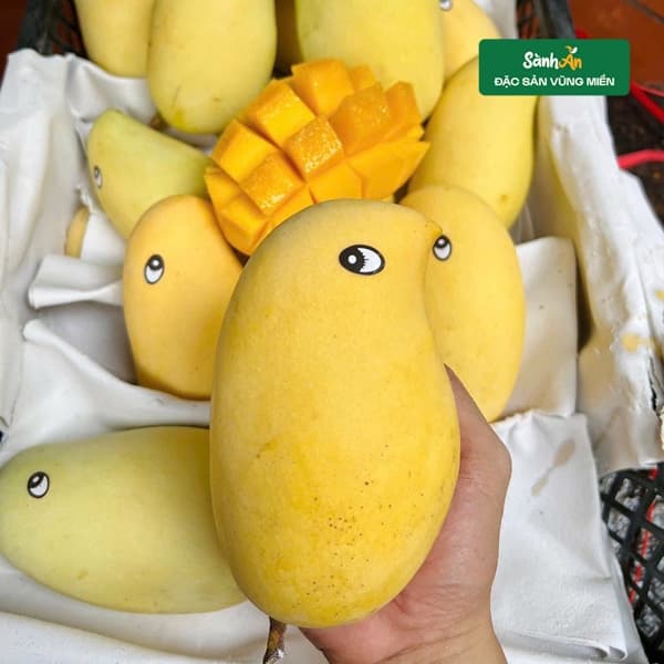 Xoài móc câu 3