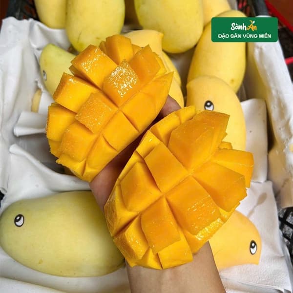Xoài móc câu
