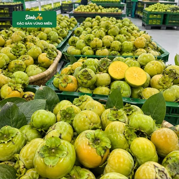 Hồng giòn chín nên Đà Lạt 3