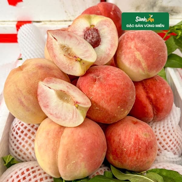 Đào Bắc Kinh 4
