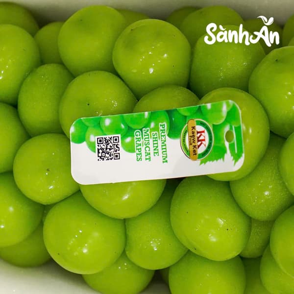 Nho Sữa Shine - Muscat hộp 3