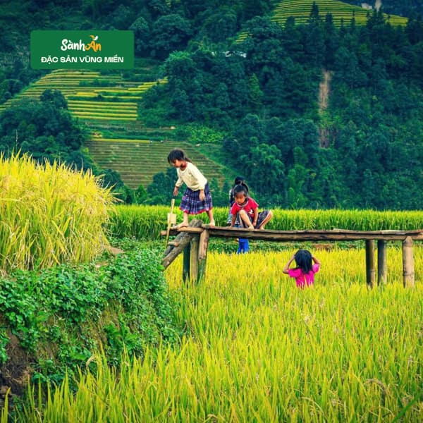 Quẩy nếp Tú Lệ xoắn 500g 4