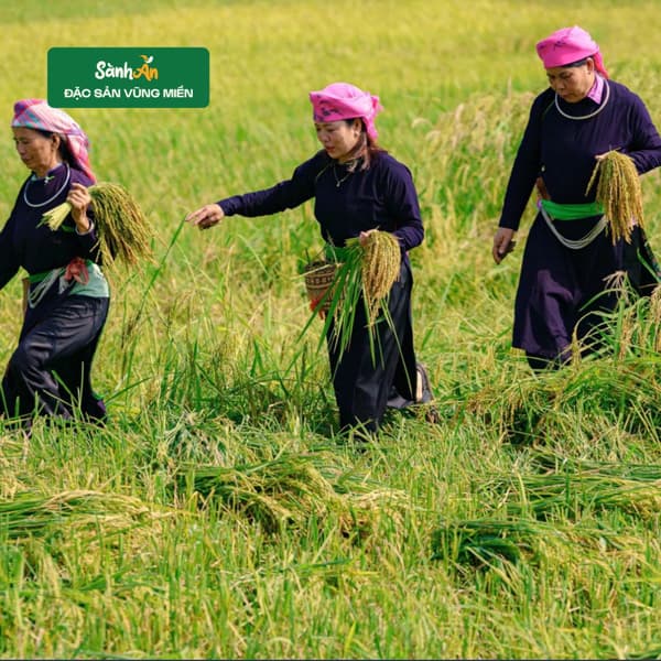 Quẩy nếp Tú Lệ xoắn 500g 5